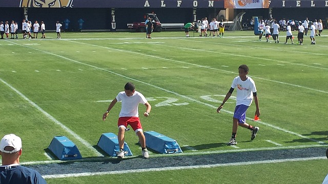 透明度的借 透明度的借