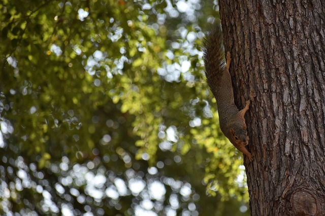 路频繁突破 路频繁突破