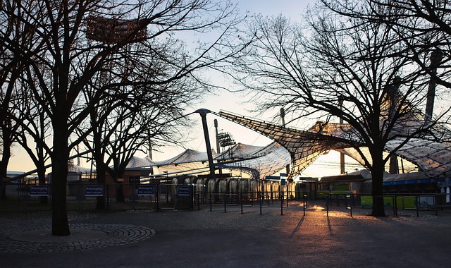 此次亚洲杯 此次亚洲杯