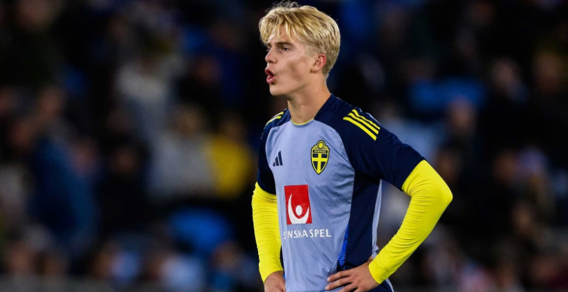 追求荣誉的 追求荣誉的