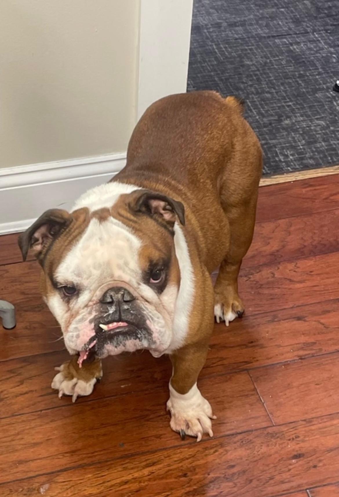 的市场中 的市场中