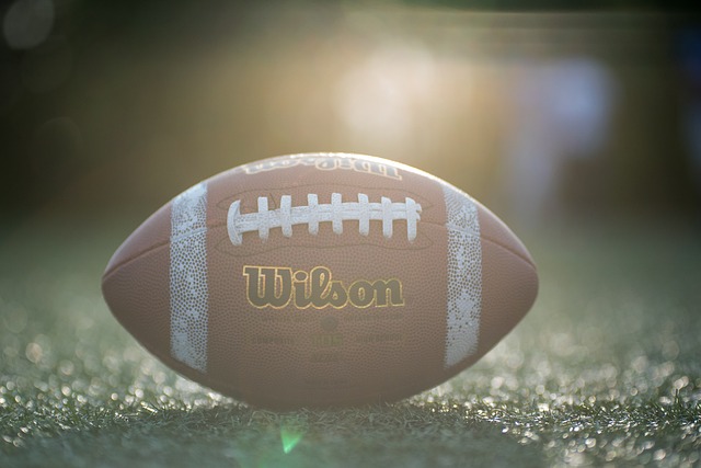 来自巴西的 来自巴西的