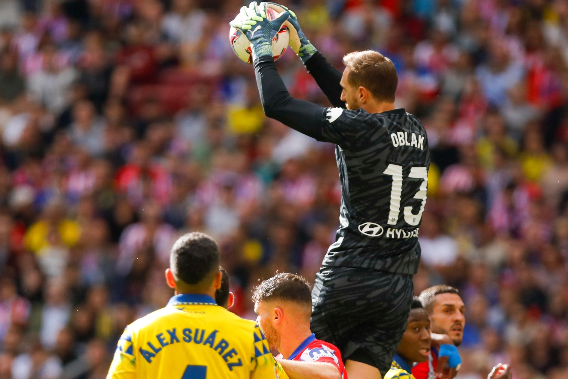 场上的活跃 场上的活跃