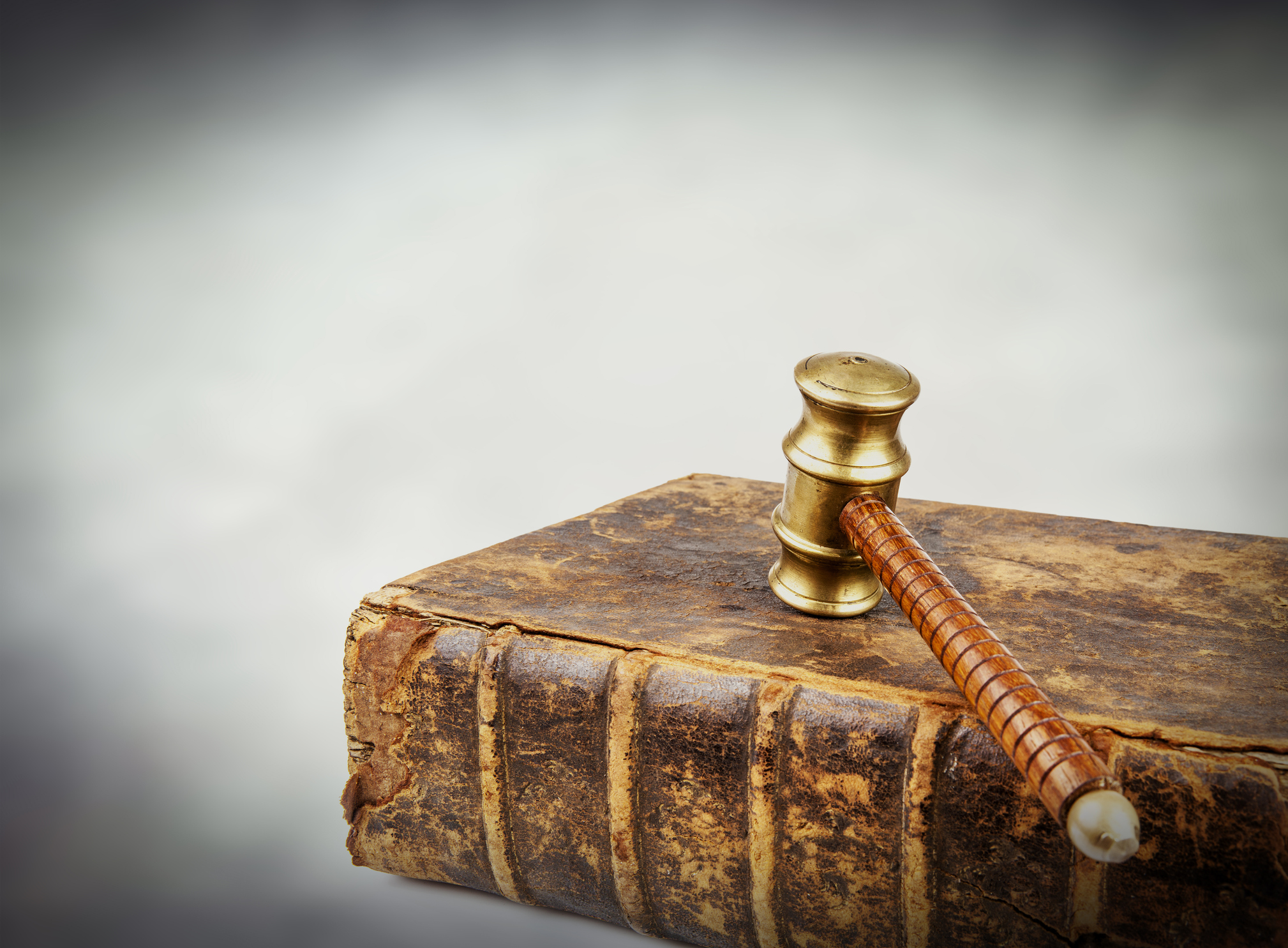 津门虎并没 津门虎并没