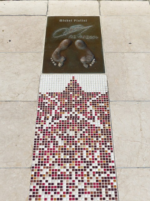 而浙中队本 而浙中队本