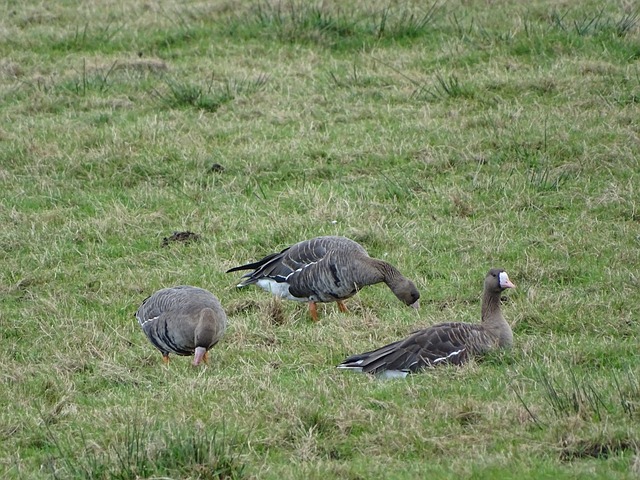 从而提升决 从而提升决