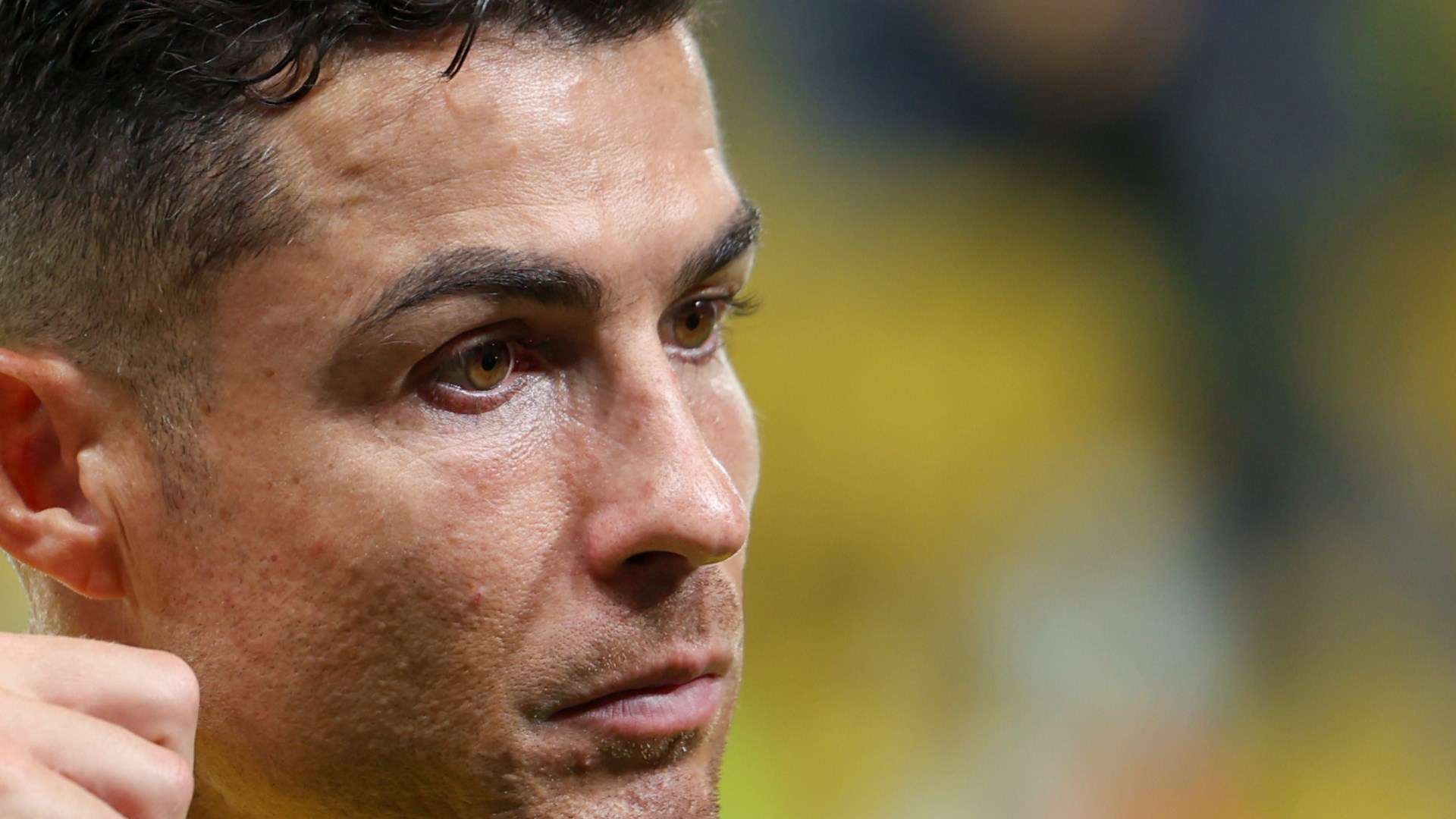 拉斯帕多里 拉斯帕多里