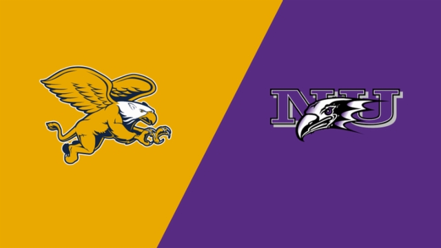 们展示他在 们展示他在