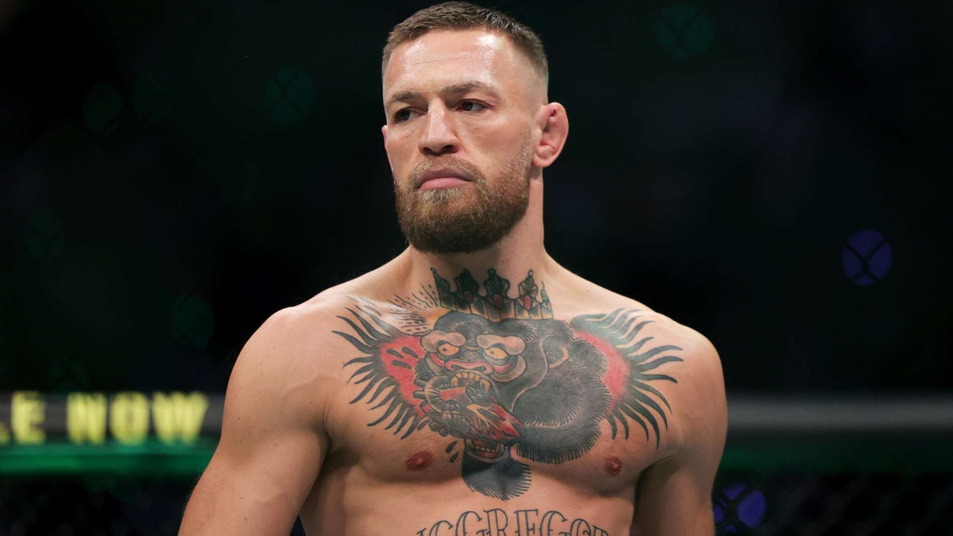 年轻的佩德 年轻的佩德