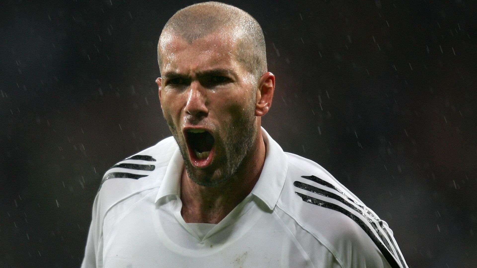 率达到了 率达到了