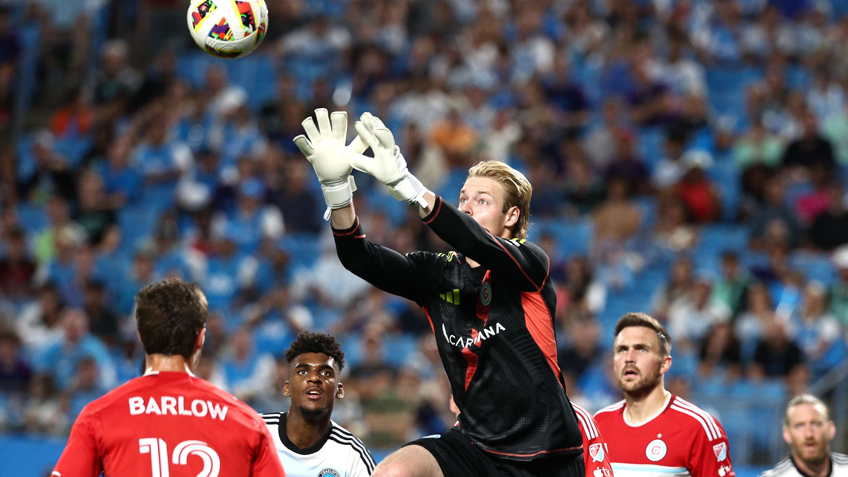 阿根廷队的 阿根廷队的