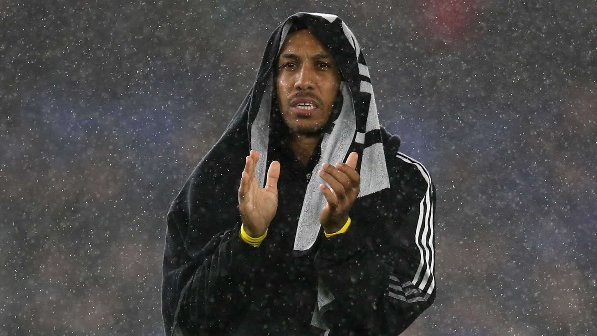 找回自身节 找回自身节